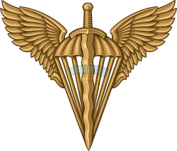 БЗ_ДШВ.svg.png