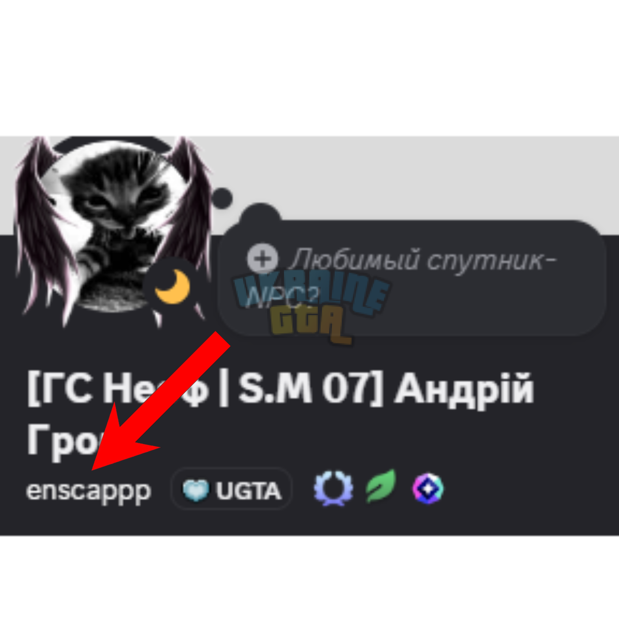 Без названия142_20260623165202.png