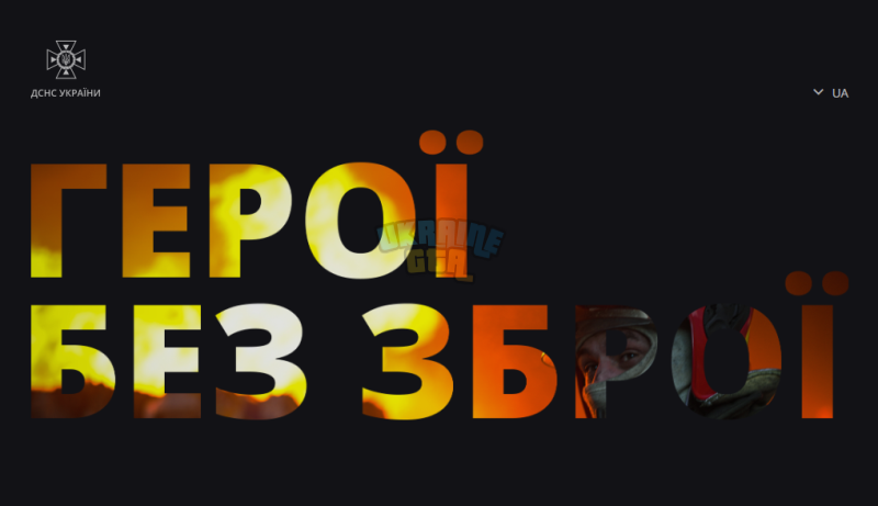 ДСНС.png