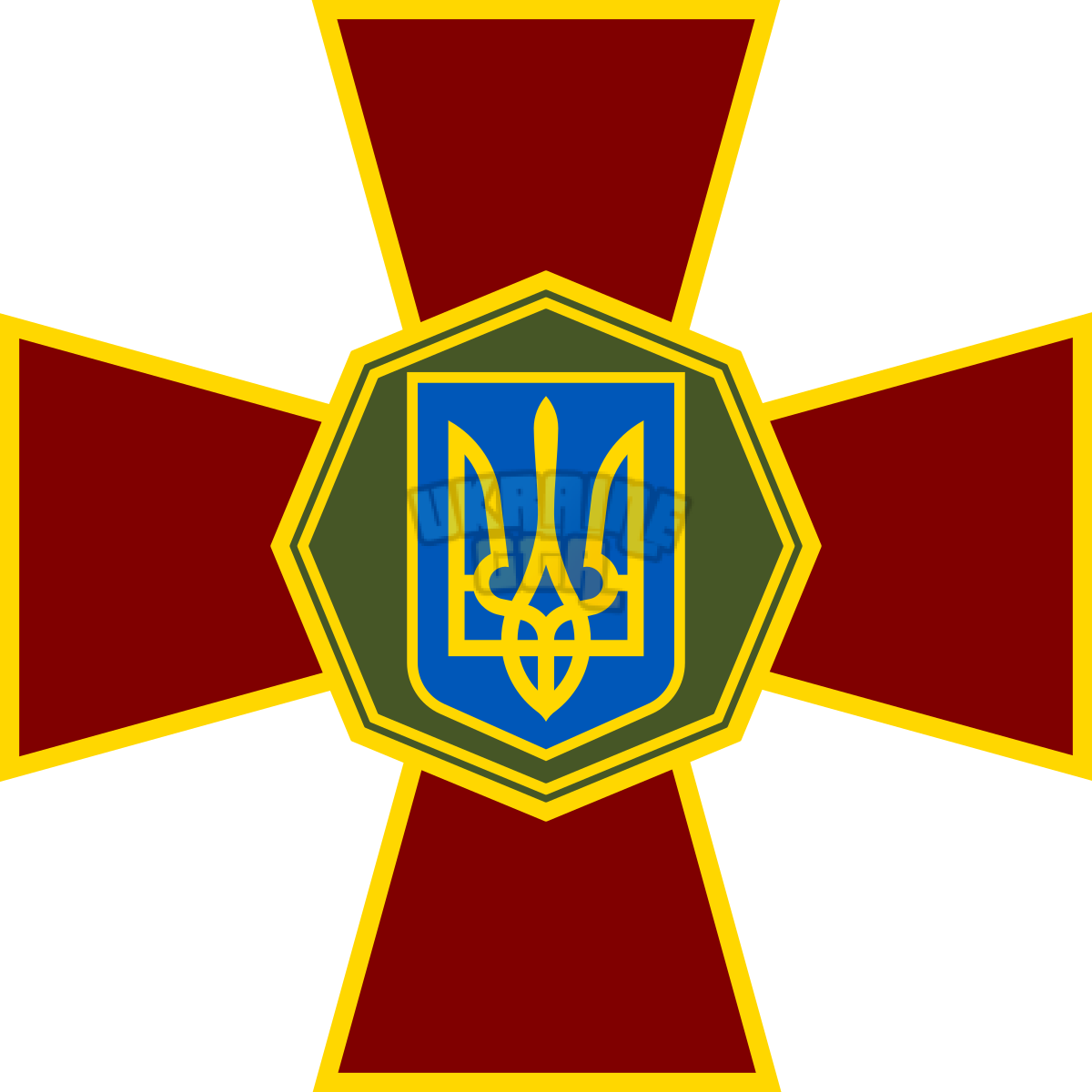 НГУ.png
