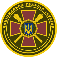 НГУ.png