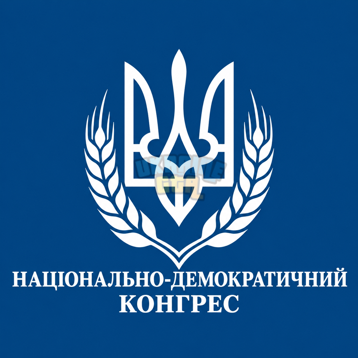 Национально-демократический конгресс.png
