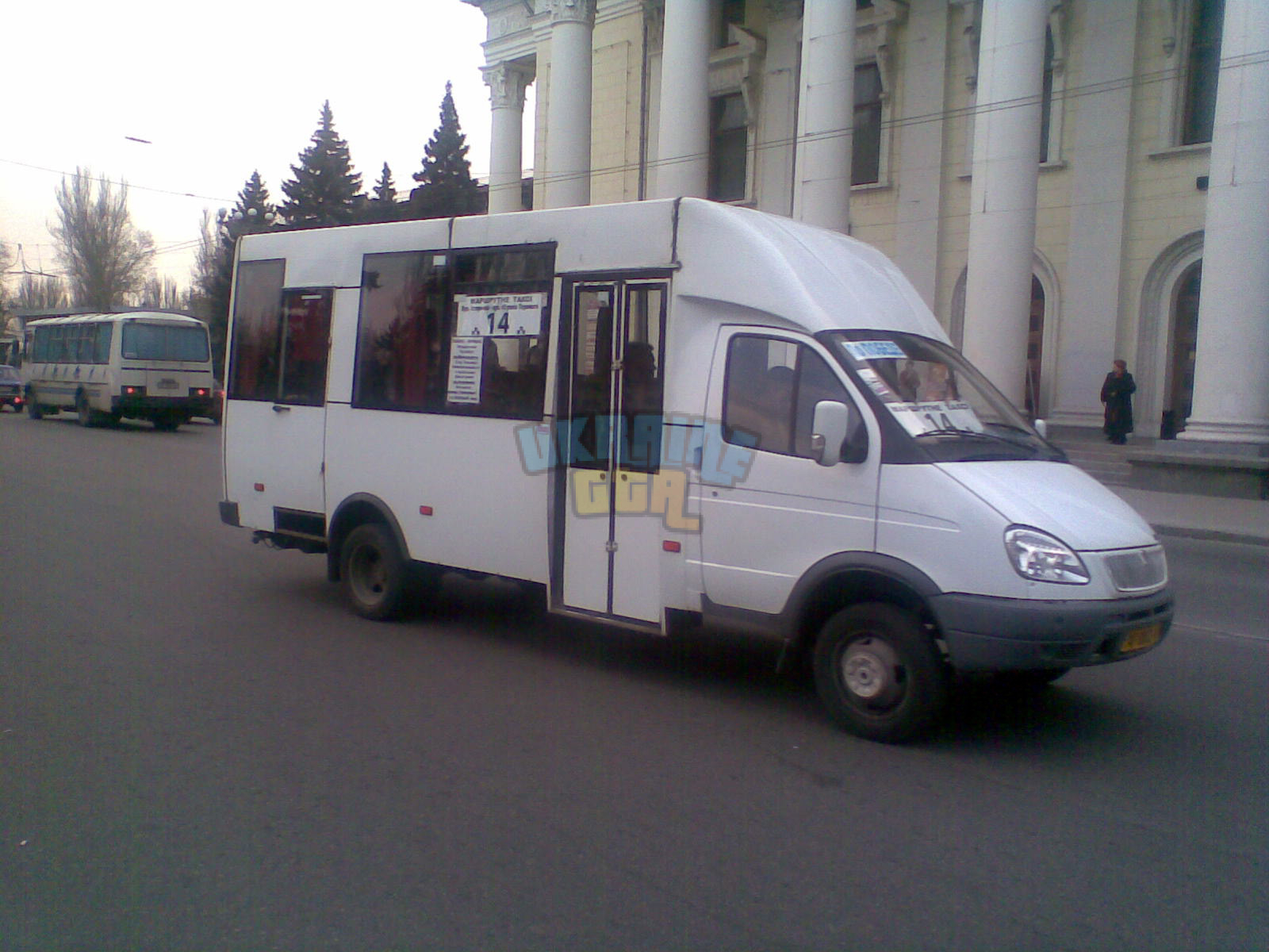 рута.jpg