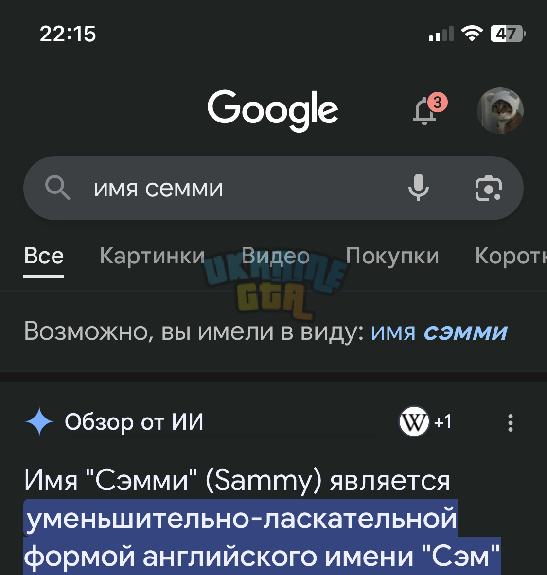 семми.png