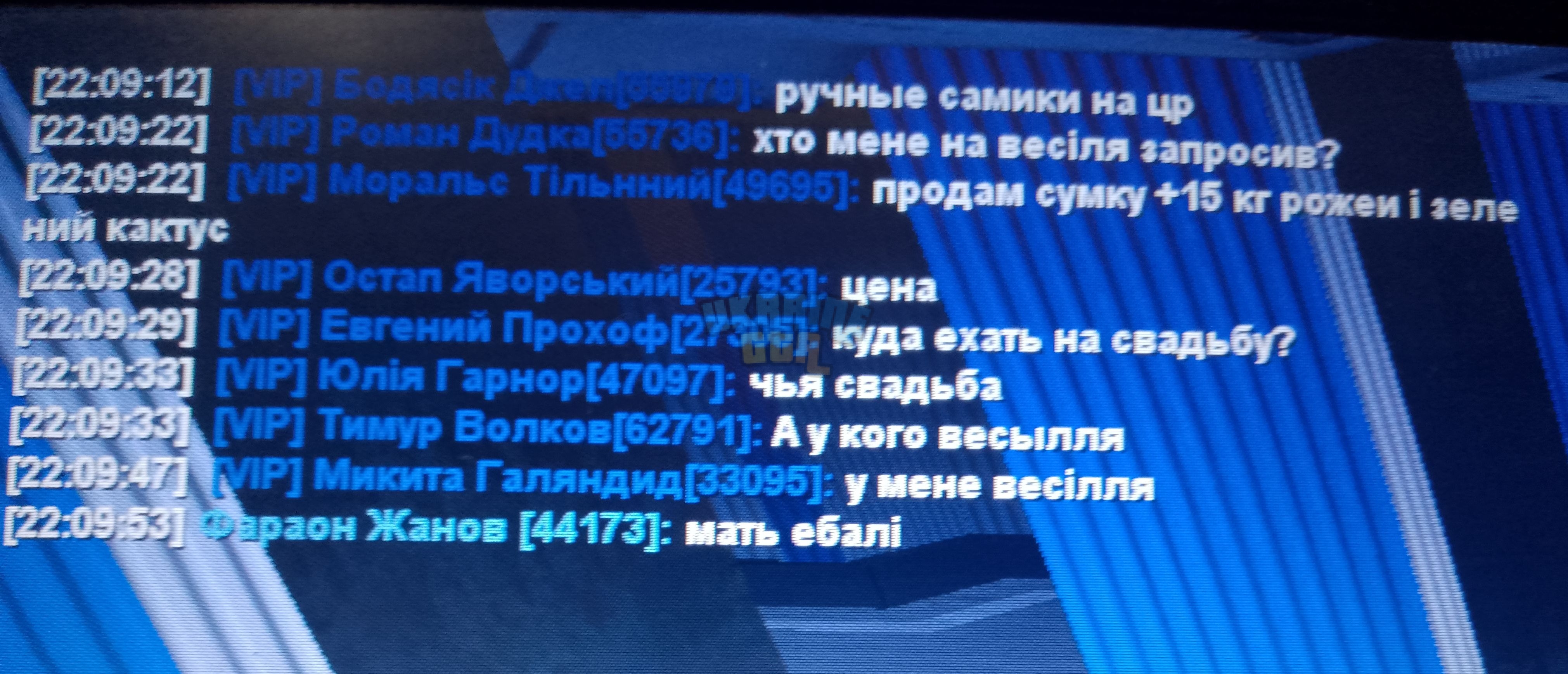 1000003153.jpg