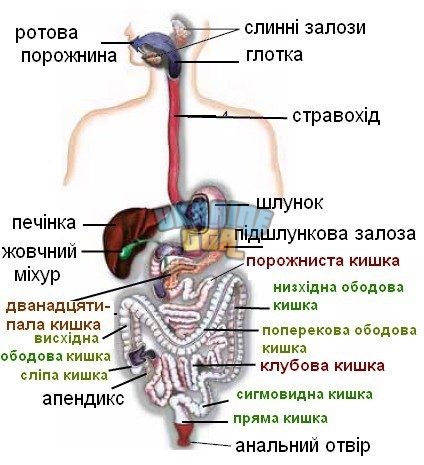 1000004711.jpg