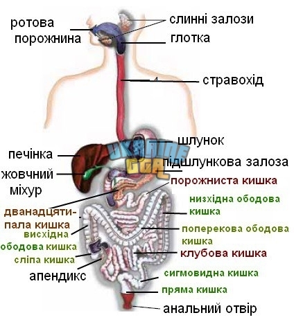 1000004711.jpg