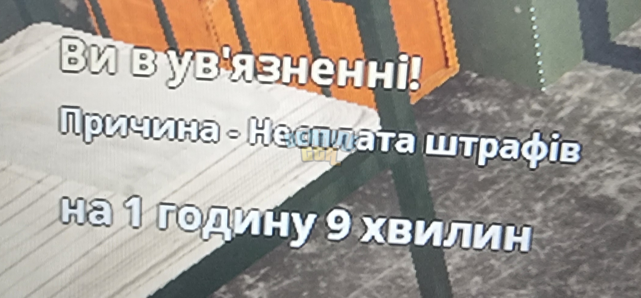 1000010463.jpg