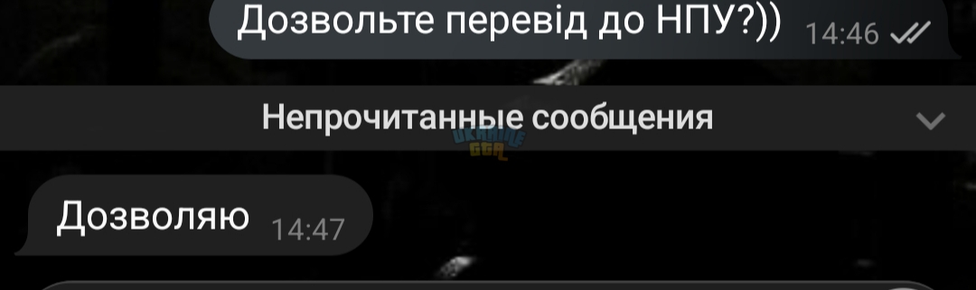 1000020858.jpg