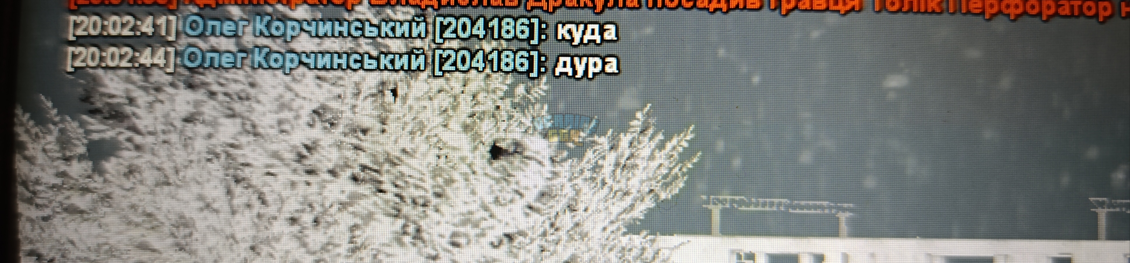 1000023500.jpg