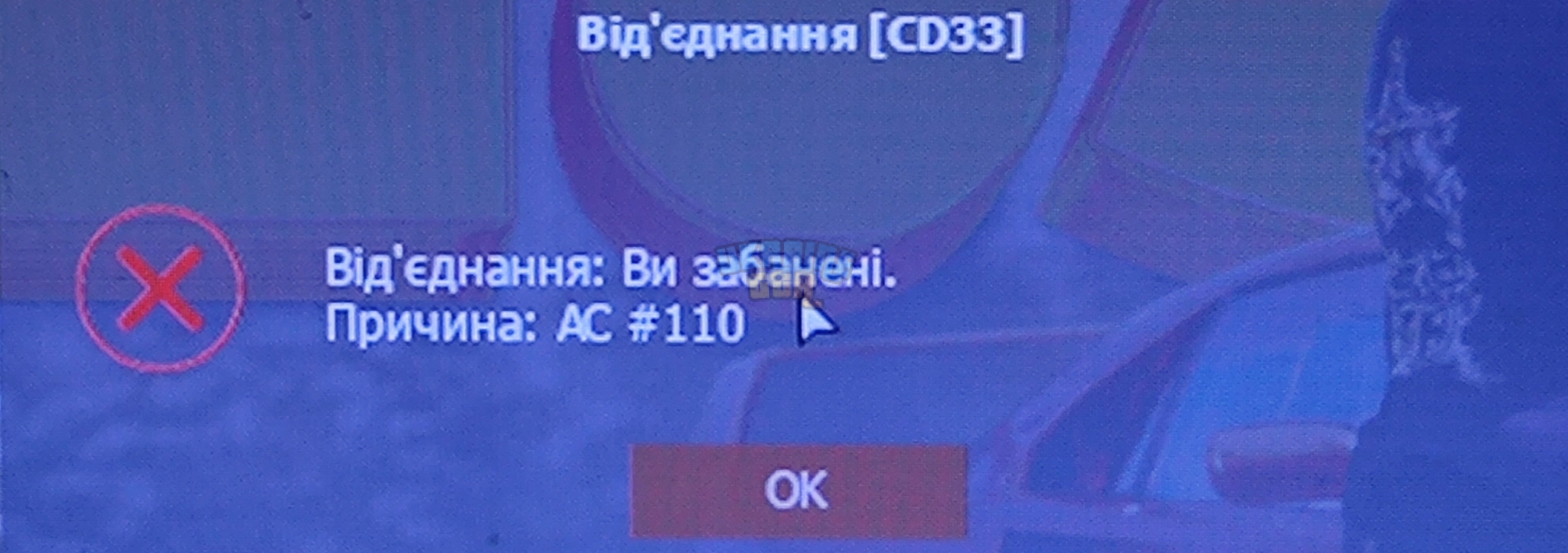 1000040542.jpg