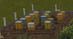 1000053865.jpg