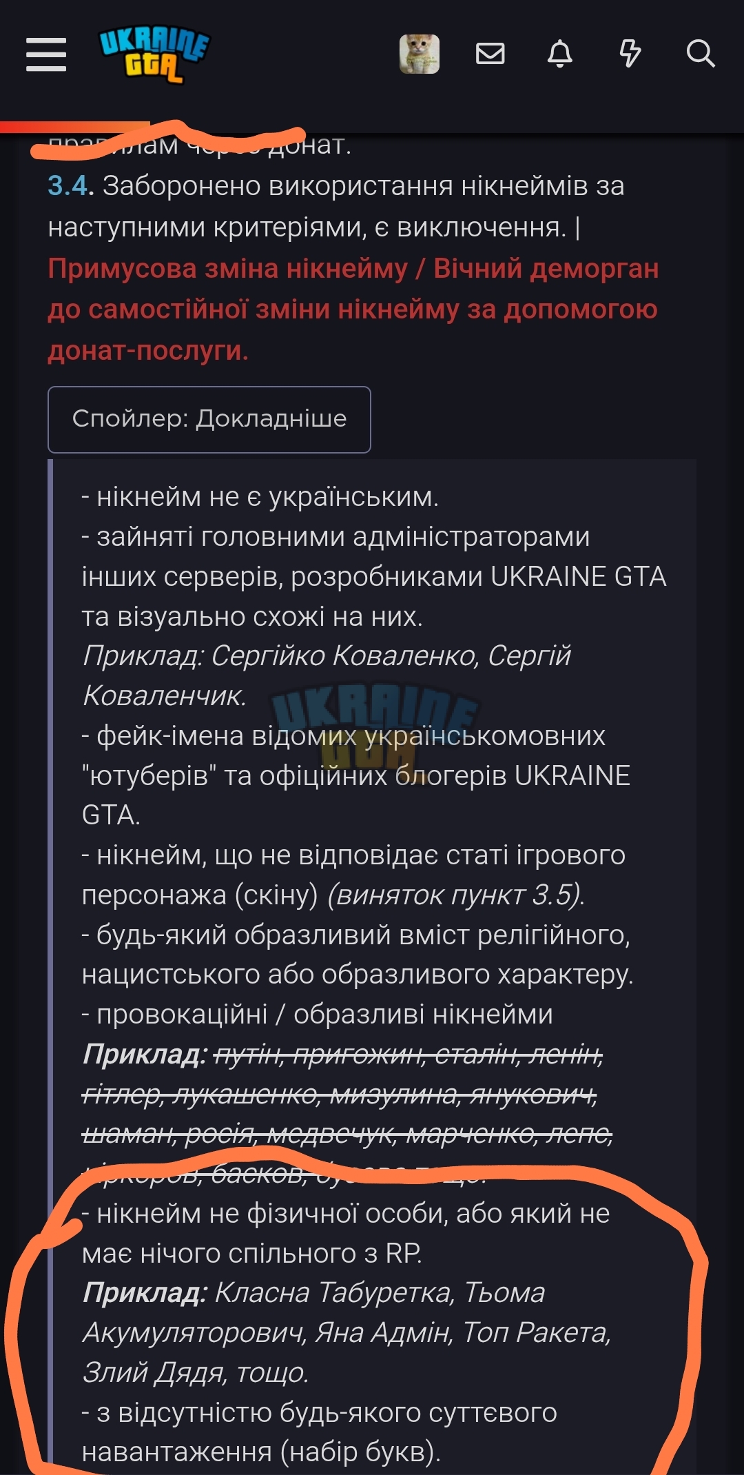 1000295082.jpg