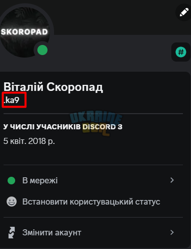1699393393022.png