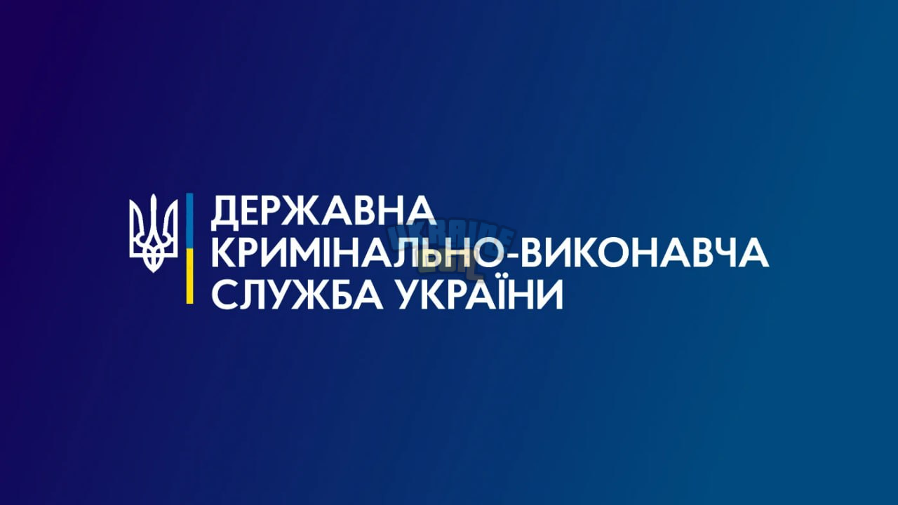 1702027595387.png