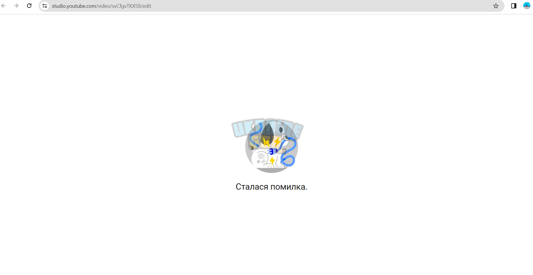 1704138965564.png