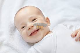 1706650746752.png