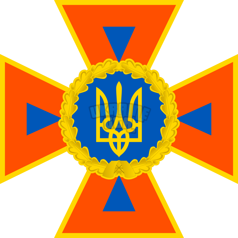 1717259847703.png