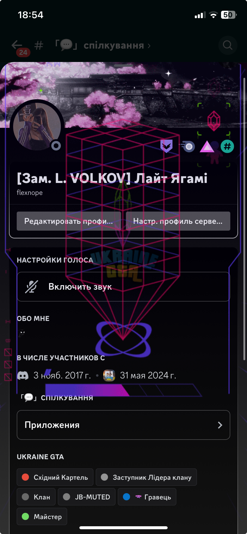 1719417279409.png