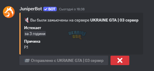 1729702230492.png