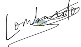 1732724411462.png