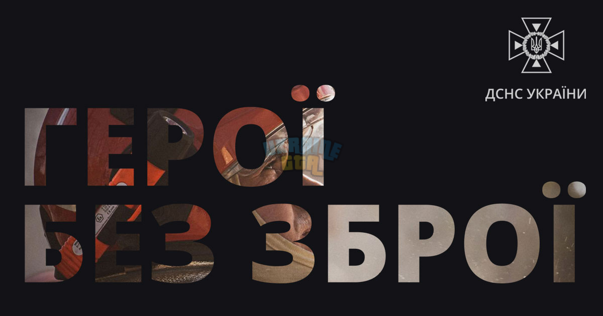1732929465902.png
