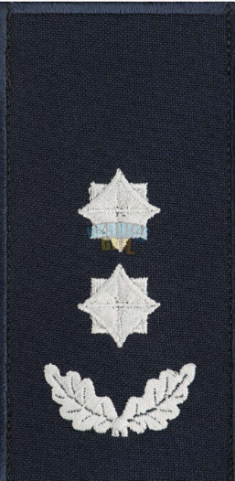 1779202775550.png