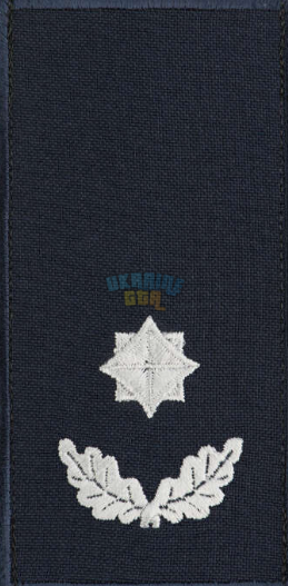1779206238905.png