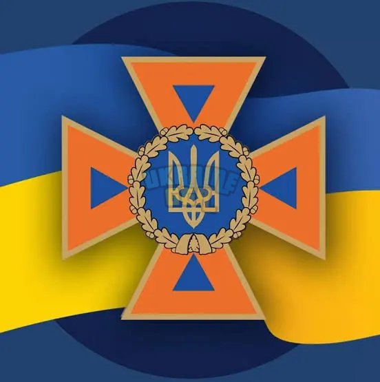 1779213357545.png