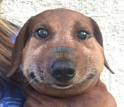 1783249608500.png