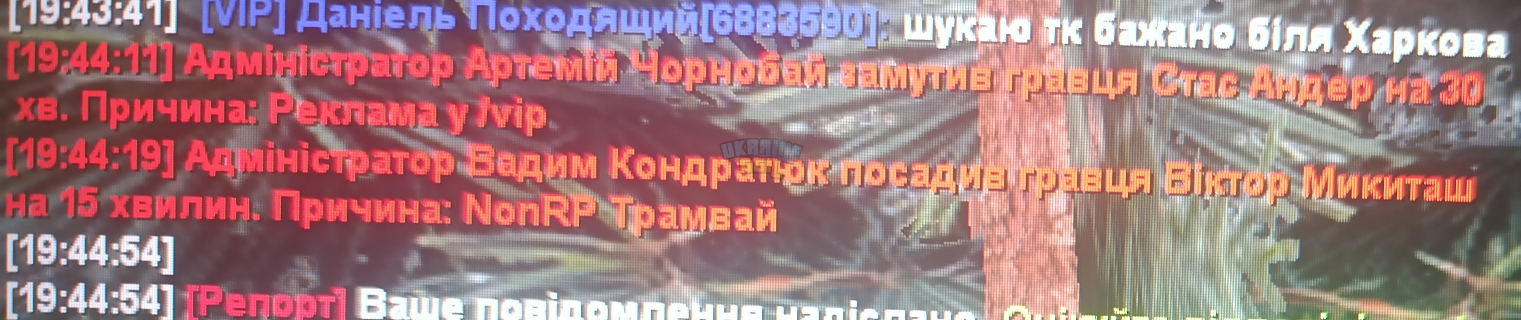 3203.jpg