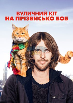 5_2604301_ua.jpg