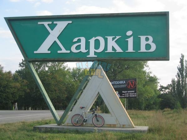 82_big.jpg