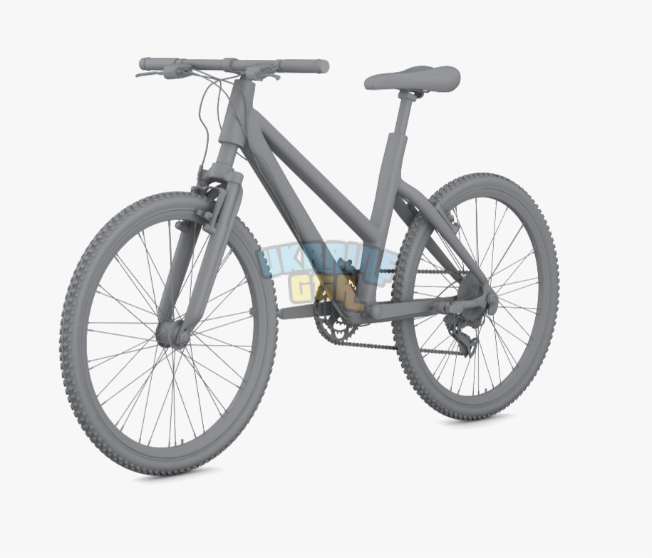 Bicycle_Green_1000_0011.jpg