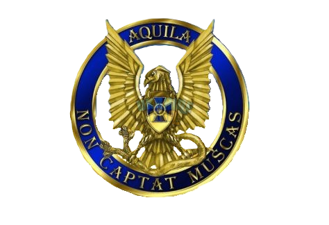 Den-kontrrozvidky-SBU-loho-474x324-1.png