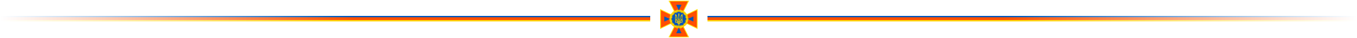 dsns_banner.png
