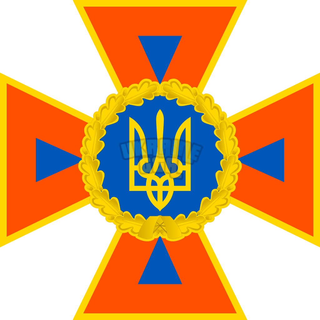 DSNS_emblem_2016.svg.png