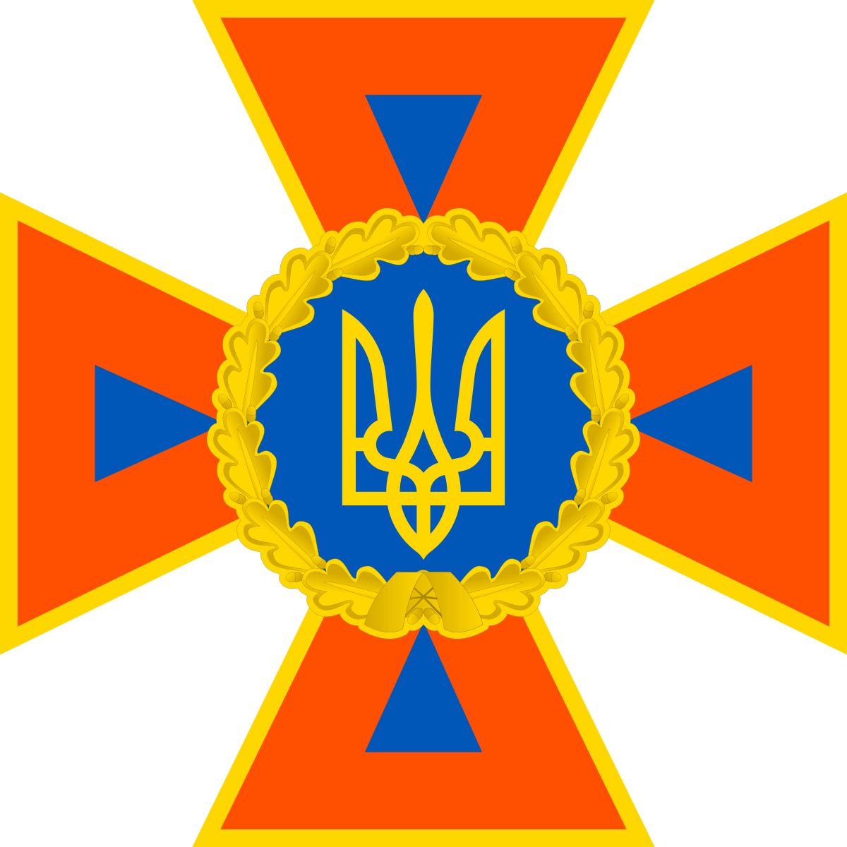 DSNS_emblem_2016.svg.png