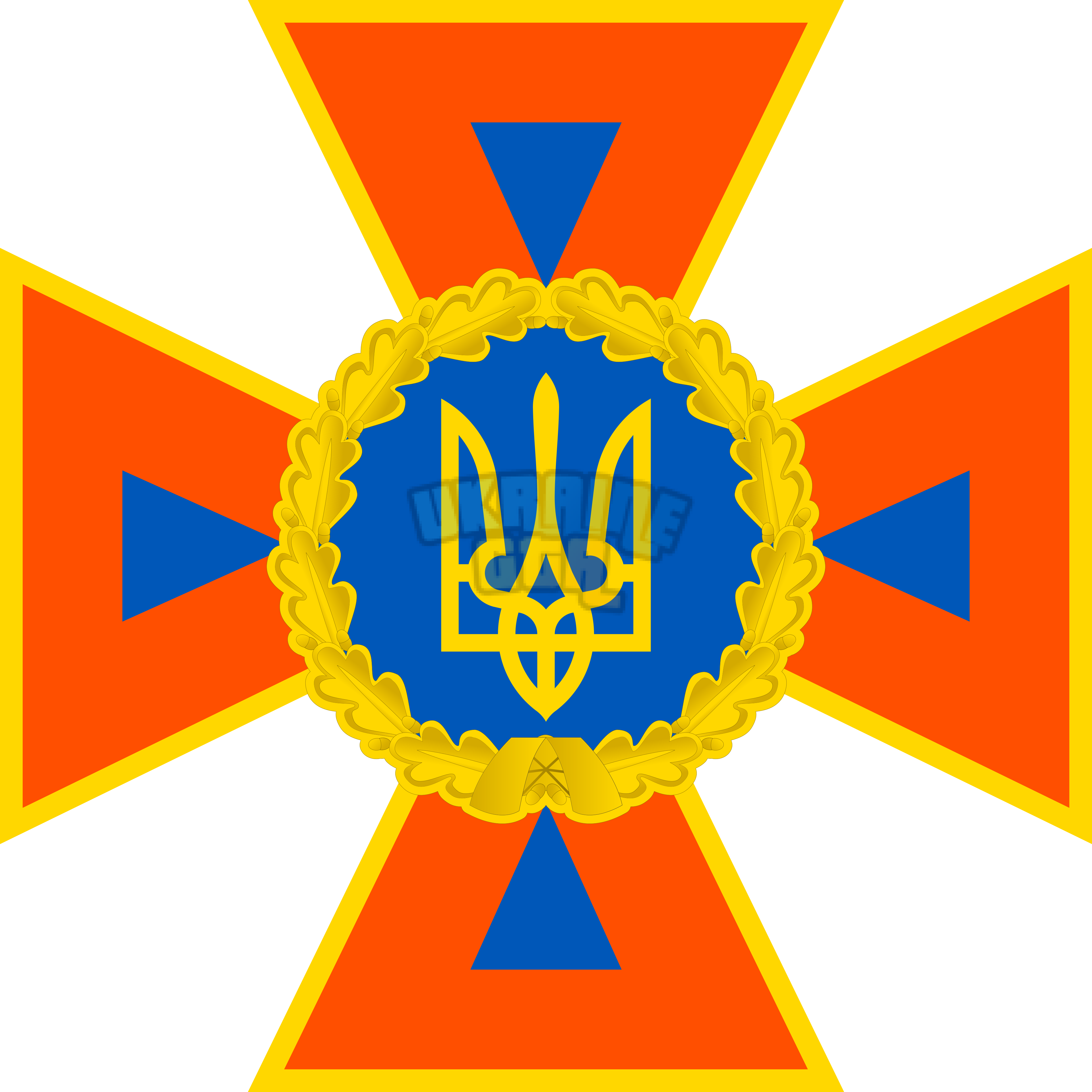 DSNS_emblem_2016.svg.png