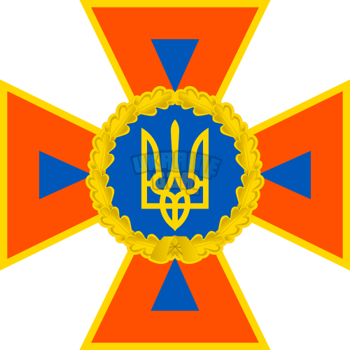 DSNS_emblem_2016.svg.png