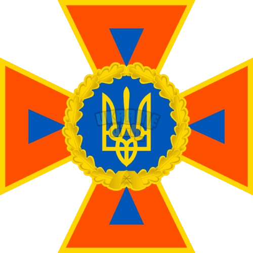 DSNS_emblem_2016.svg-removebg-preview.png