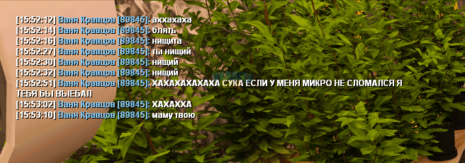 image (1).png