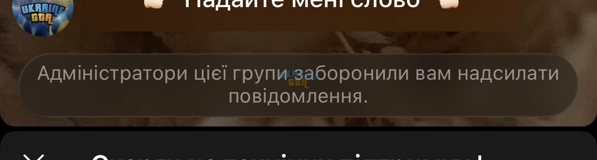 IMG_2681.jpeg