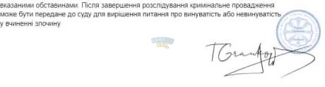 IMG_3383.jpeg