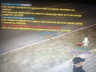 IMG_5661.jpeg