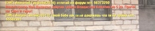 IMG_5664.jpeg