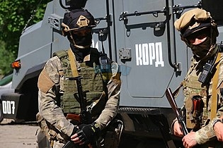 KORD_in_Krasnogorivka.jpg