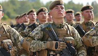 OIP (2).jpg