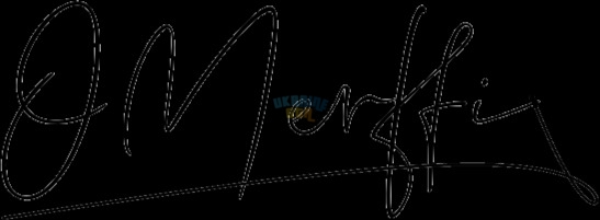 OnlineSignatures.net-665-Oleksiy Merffi .jpg