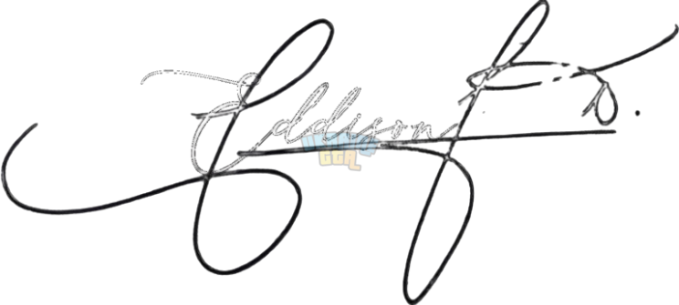 OnlineSignatures.net-787-Nikita_Eddison_-removebg-preview.png